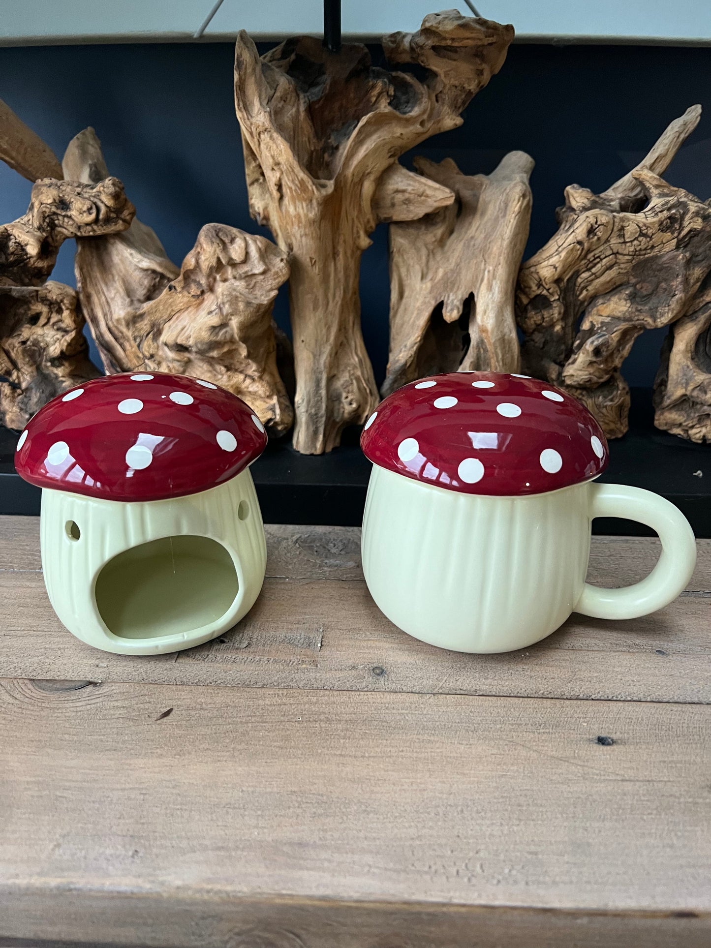 Mushroom mug with lid