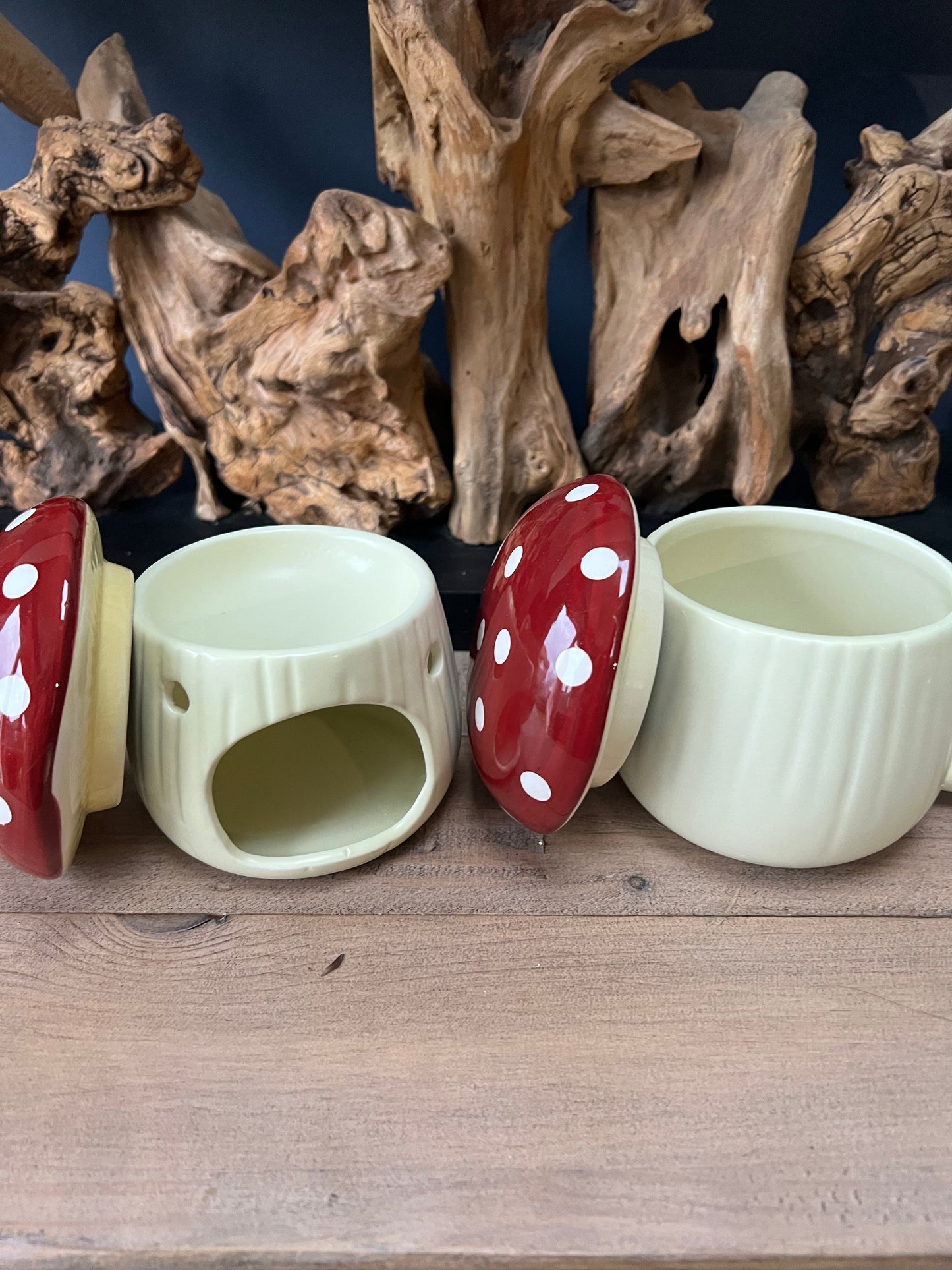 Mushroom mug with lid