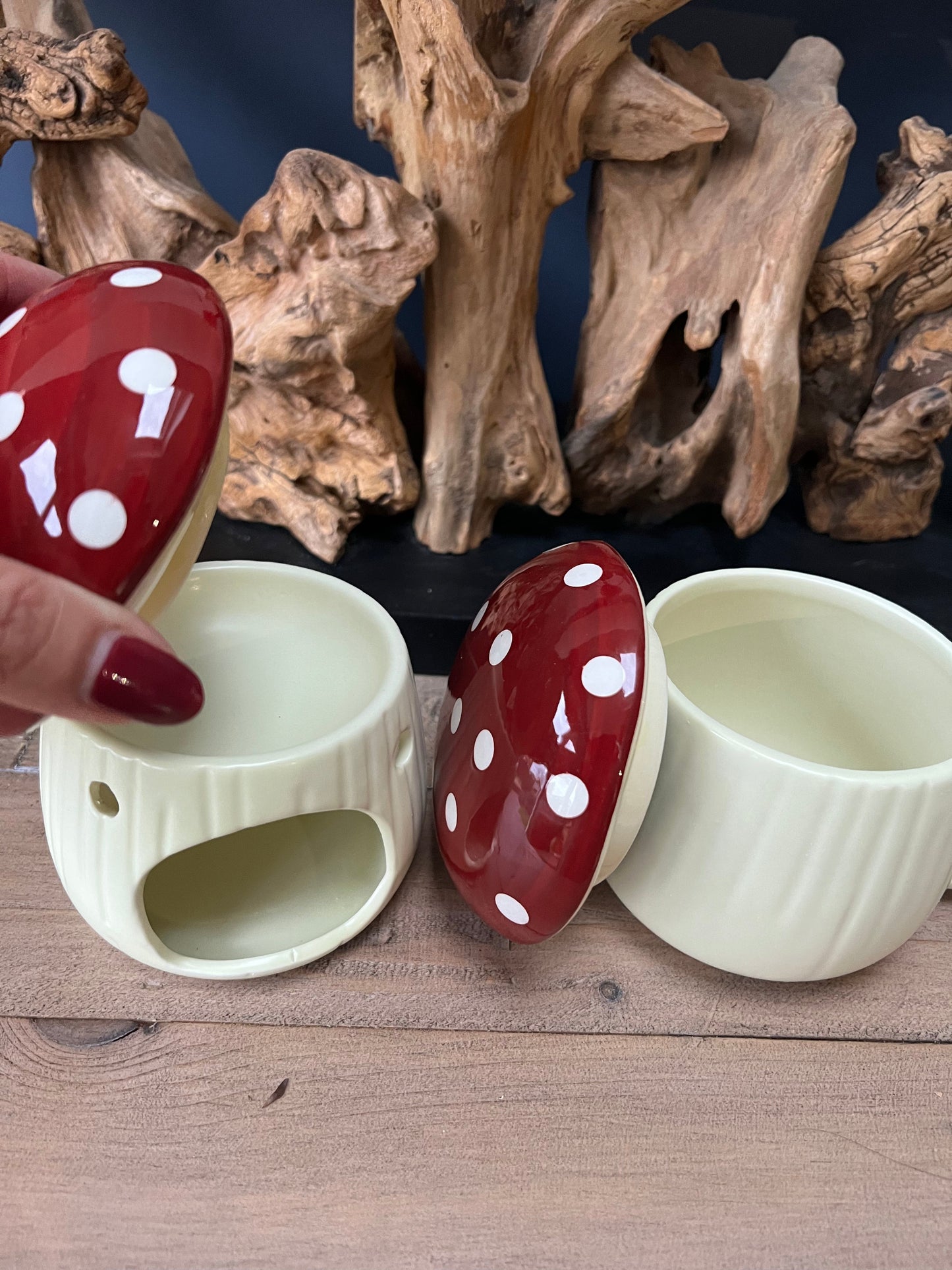 Mushroom mug with lid