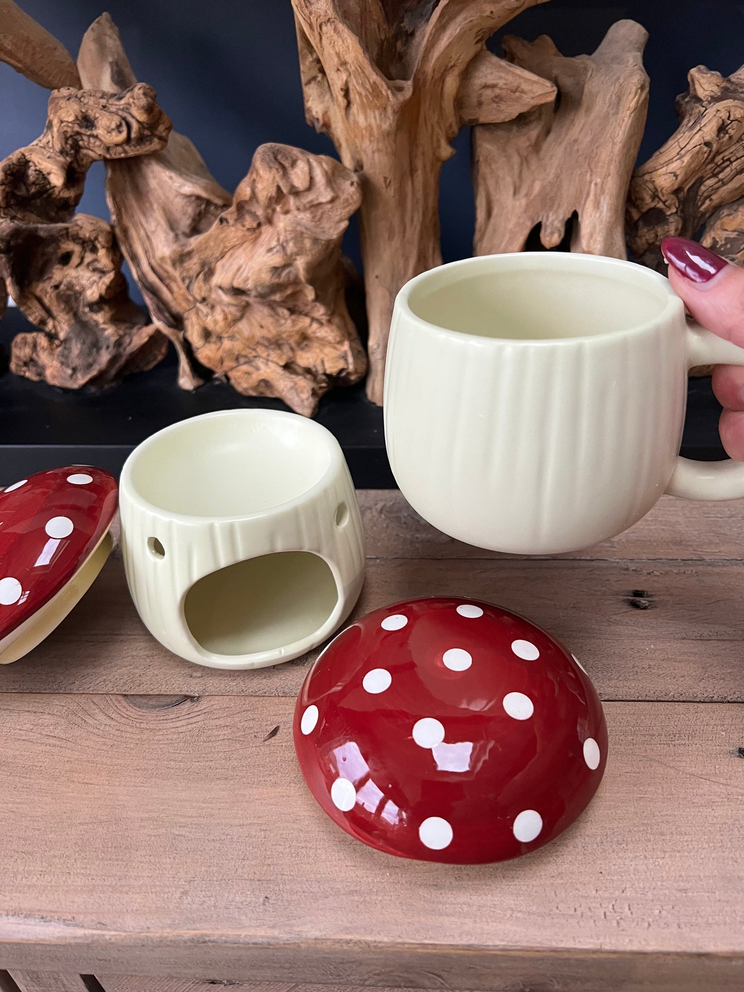 Mushroom mug with lid